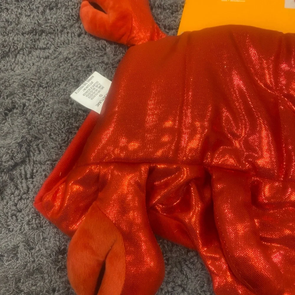 Pet Red Lobster Set-Halloween